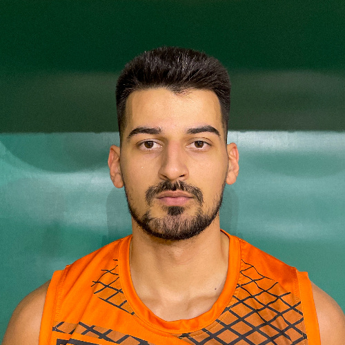 Nikola Milošević